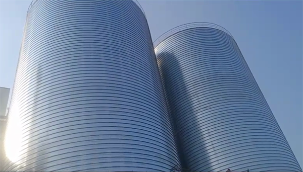 肥乡2座混凝土高架卷板仓